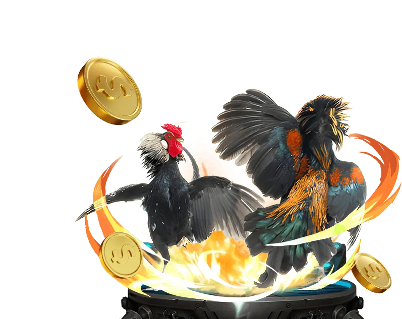 Đá gà cựa dao BC88BET